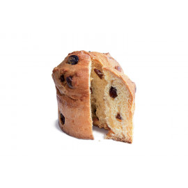 PANETTONCINO con GOCCE di CIOCCOLATO FONDENTE